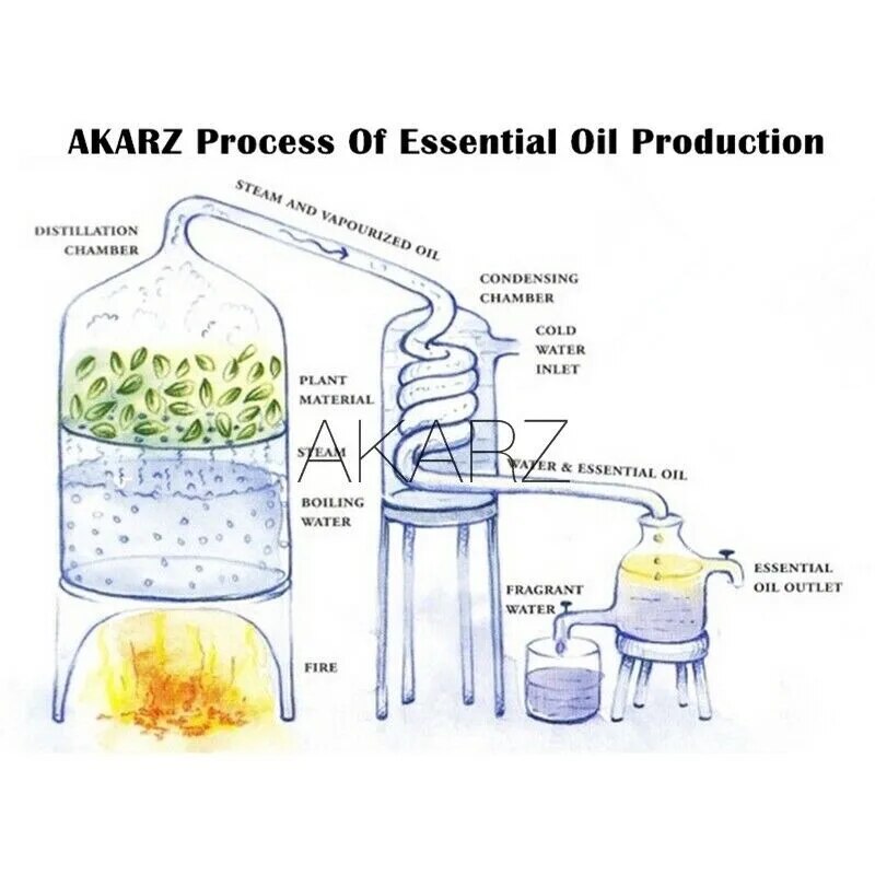 AKARZ 24 Set Essential Oils