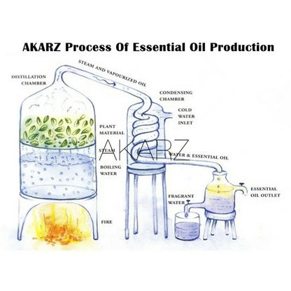 AKARZ 24 Set Essential Oils