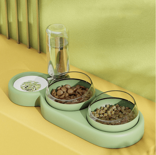 Elevated Double Bowl Stand With Automatic Fee